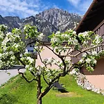 Baers Mountain Außerbraz Innerbraz