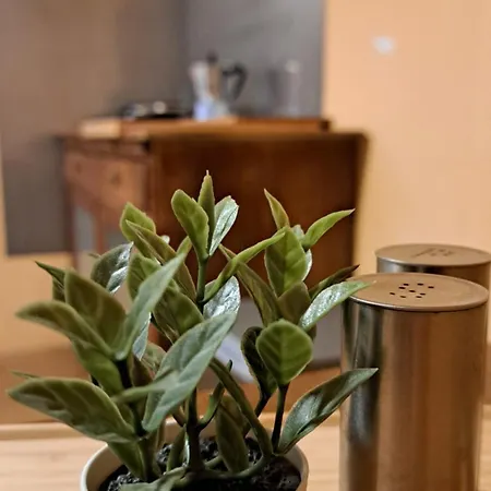 شقة Baers Mountain Ausserbraz