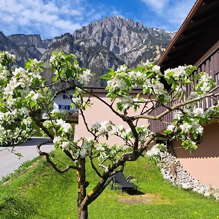 Baers Mountain Ausserbraz Innerbraz