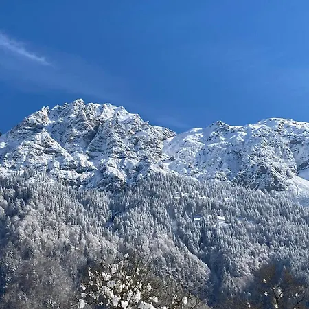Baers Mountain Ausserbraz * Innerbraz