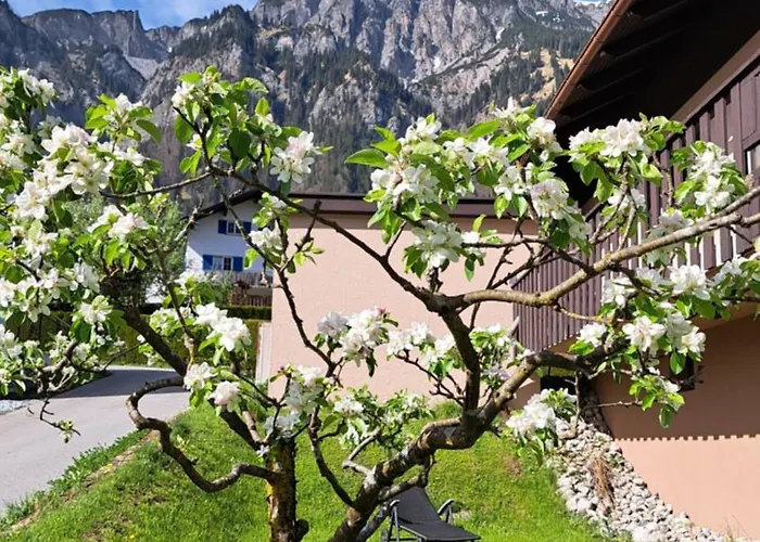 Baers Mountain Ausserbraz Innerbraz