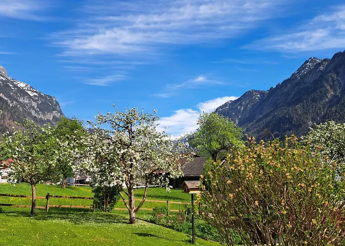 Baers Mountain Ausserbraz Apartment Innerbraz