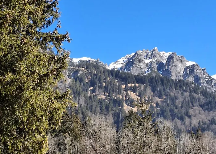 Baers Mountain Ausserbraz